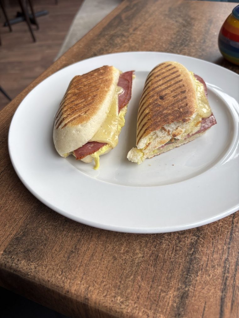 Toasted panini cut in half on a white plate